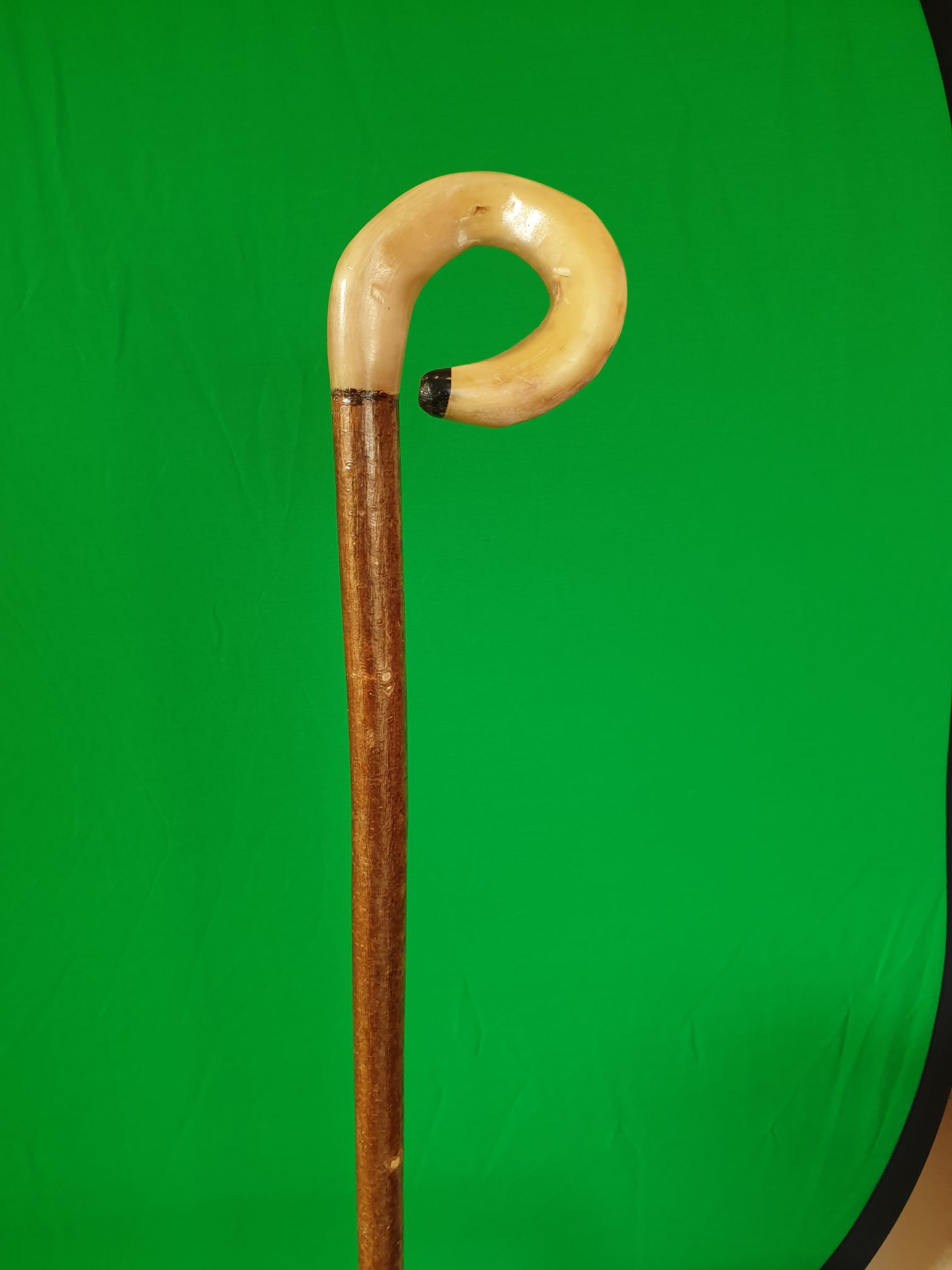 Rams horn walking stick for sale UK