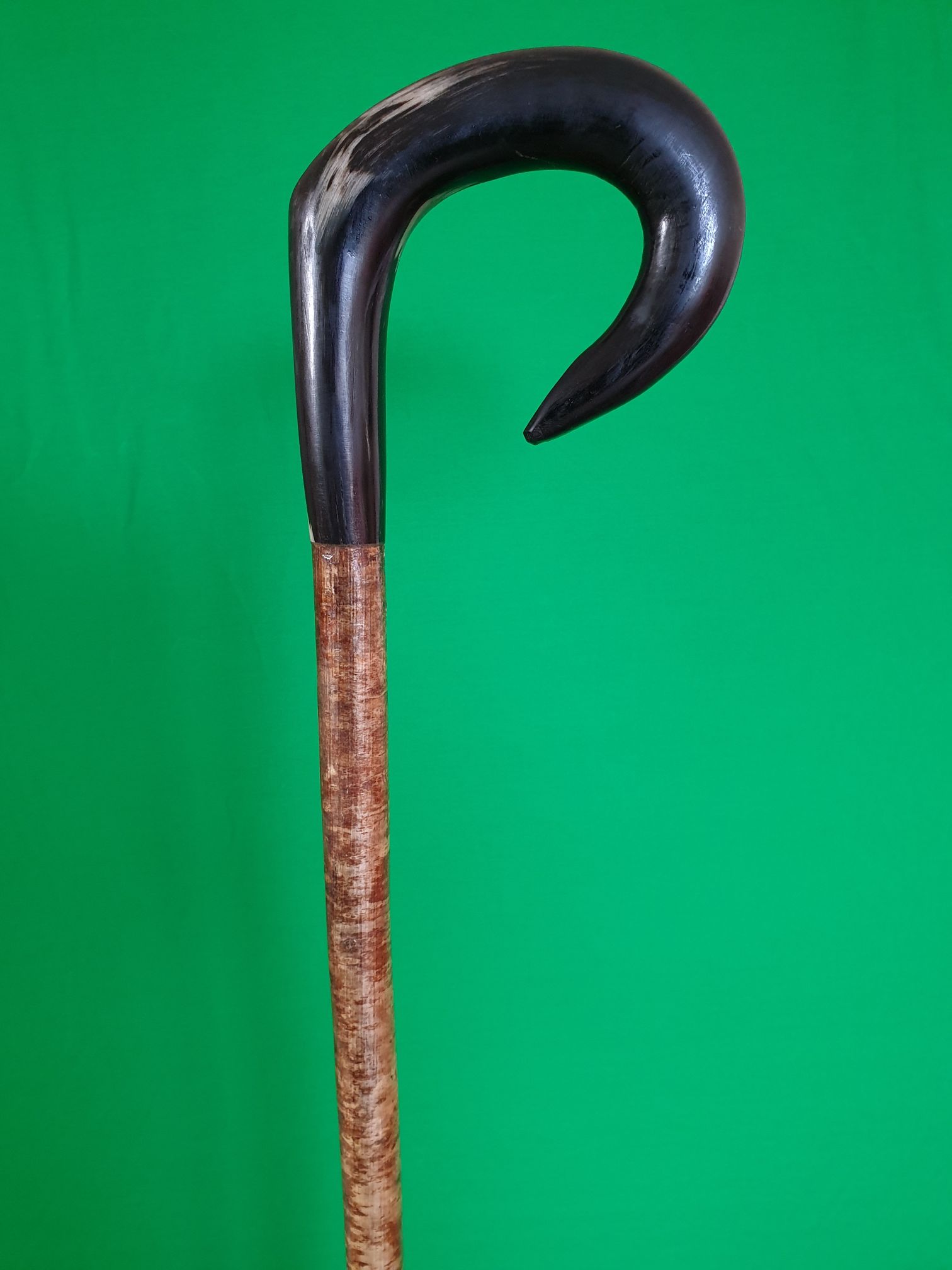 Balck Curved Handle Ramshorn walking stick