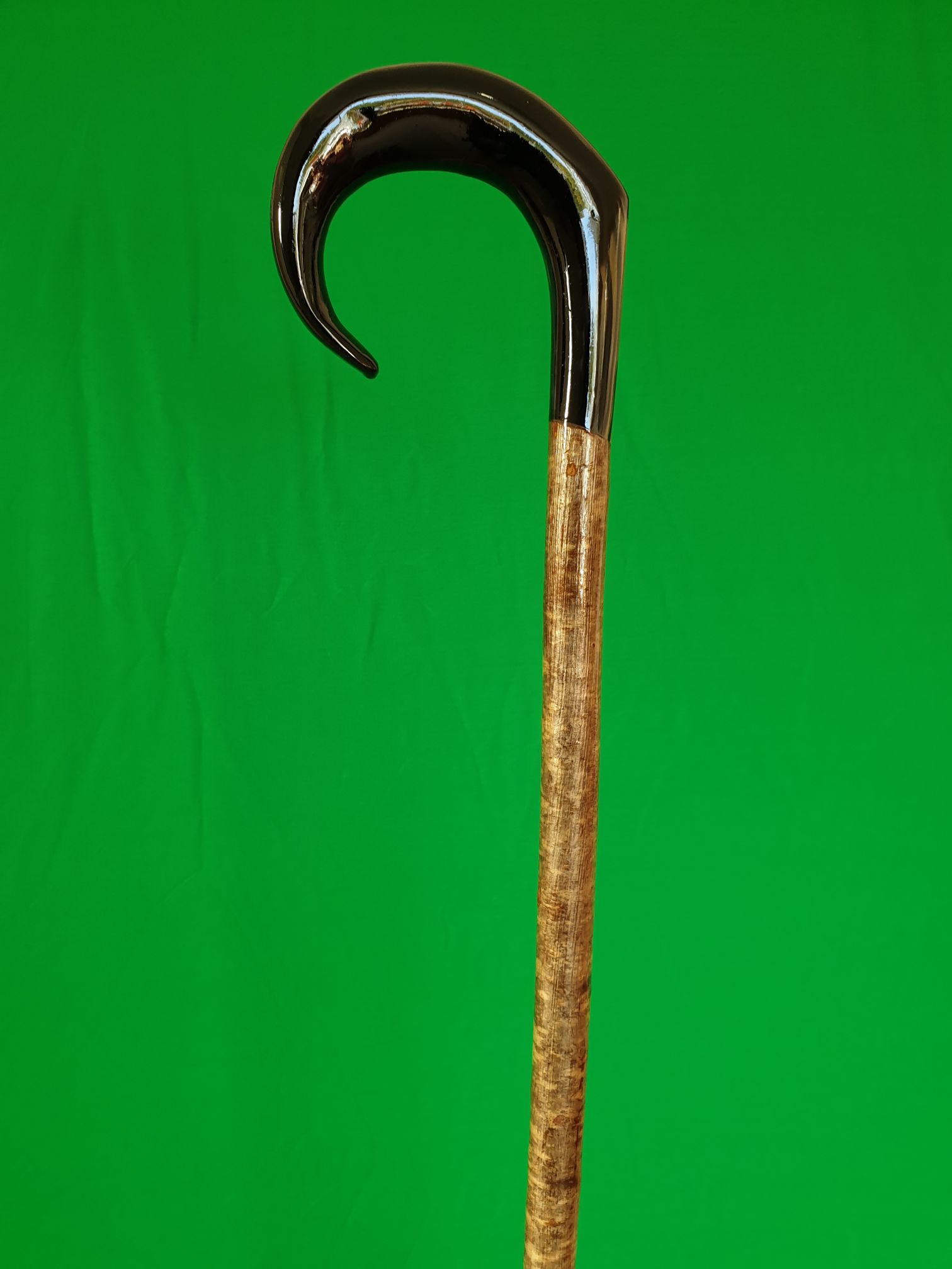 Ramshorn walking stick with Black Handle