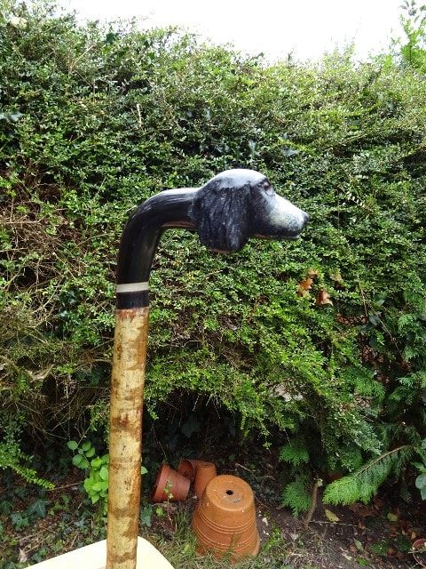 Dorset Sticks | Handmade, Ramshorn Walking Sticks and Shepherd's Crooks
